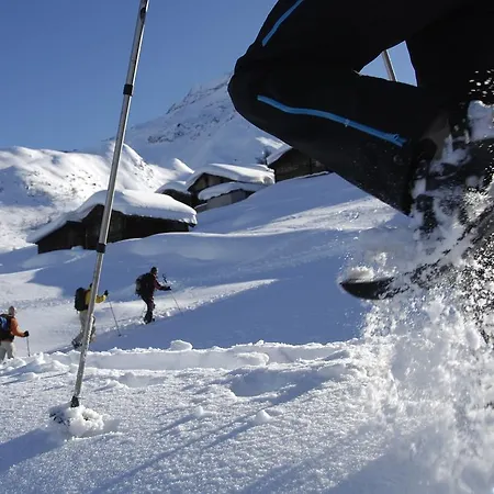 Berggasthaus Wasenalp Brig
