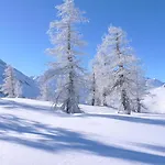Berggasthaus Wasenalp