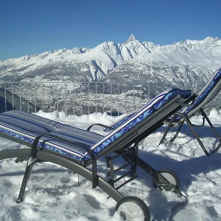 Berggasthaus Wasenalp بريغ