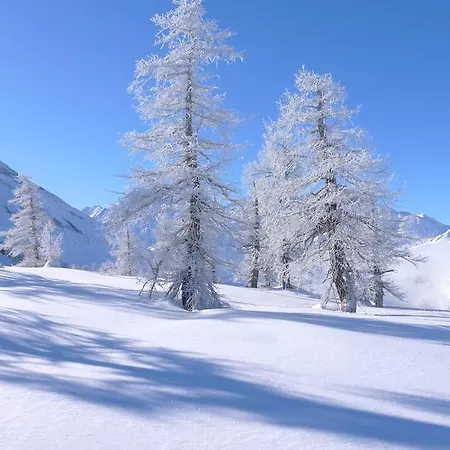 Berggasthaus Wasenalp